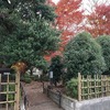 2019/12/09 砧散歩2 06 岡本いこいの森緑地/長円寺/天神社跡/宗田稲荷/ケヤキの神祠/フラワーランド/地蔵