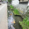 島根 津和野・山口・広島 一人旅 ⑥レンタサイクルで津和野を散策♪その１