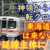 【転属の転クロは東海道線運用は少ない!?】ワンマン拡大で313系L編成は身延線へ！