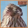 Blackfoot『Marauder』('81)