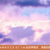 ｅＭＡＸＩＳ Ｓｌｉｍ 全世界株式　2023年5月の資産記録