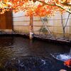 山梨市　正徳寺温泉 初花に日帰り入浴・サウナを楽しんできました♨