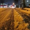 雪積もった