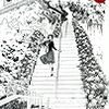 西炯子『姉の結婚』1巻