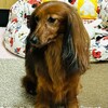 コンビニで楽チン