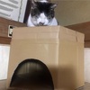 段ボールで作る猫のお家