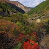 園部から美山