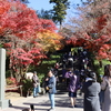 紅葉の北鎌倉・円覚寺を散策してきました。
