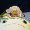 Alien's Cooking ~Roasted Chicken~ 