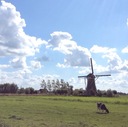 オランダ語の勉強記録