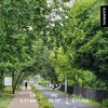 210507runaway（多摩湖自転車道を軽く５キロジョグ）