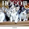 猫虐待犯に厳罰を（署名御協力ください）