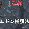 【MHWs】ギョムドン捕獲法解説！ダリルの希少研究レポートのサイドミッションクリア！Monster Hunter Wilds【モンスターハンターワイルズ/ゆっくり実況/環境生物】