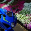 GSX-R1000Rの調子