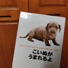 【男の読み聞かせ】小学3年生の教室で「こいぬがうまれるよ」を読んできた