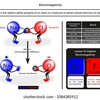 化学で最重要～電気陰性度～