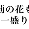 漢検一級勉強録 その69「薊の花も一盛り」