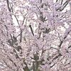 幸福の定義