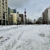 ペット保険、入ってる？