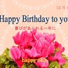 12月8日　お誕生日　アドベント8日目