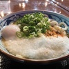 丸亀製麺『とろ玉うどん』優しいだしに温玉ととろろって美味い要素しかないよね‼️最高級のマリアージュって事で良いよね‼️