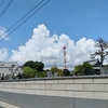 （巻四十一）古書市に吸ひ付く人の残暑かな(清水憲一)