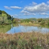 宍道湖グリーンパークのビオトープ池（島根県出雲）