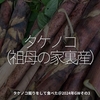 2389食目「タケノコ（祖母の家裏産）」タケノコ掘りをして食べた＠2024年GWその3