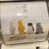 【ガチャ活】【虚無。猫】ただ、そこに居る・・・・