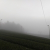 霧の朝と天気の回復