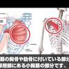 肩関節がゴキゴキ鳴る人