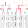 第47回 全国大学ラグビーフットボール選手権大会（2010-2011）