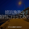 1992食目「姪浜漁港の朝市に行ってみた」さてどんな魚がいるのかな？