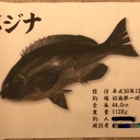 只野のただの釣りブログ