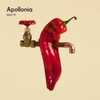  Apollonia / Fabric 70