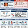 網膜中心動脈閉塞症（CRAO）の治療：脳神経内科専門医の視点