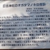 長門市の天然記念物「日吉神社のオガタマノキ巨樹群」です。