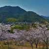 桜を写しに&#127800;山口市野外活動センター編