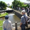 大丸用水～多摩川緑地公園　初夏の稲城市北部を歩く