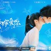 『初次愛你』（英語：First Love）17話～24話(最終回)