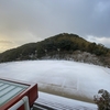 2495 人権の研究発表