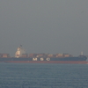 MSC ANNICK