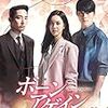 『ボーンアゲイン～運命のトライアングル～』２１話まで