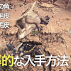 Ark日誌 Lv2 感染症にかかったら Ps4 まったり庭