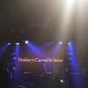 久しぶりにライブに行った話　Nothing's Carved In Stone