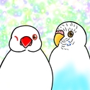 Lily birdのイラスト・グッズ制作活動のブログ