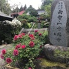 雨寶山 常光寺とダート道