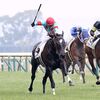 １３日の検疫で美浦・田中博厩舎へ。次走は来月１日の東京・陣馬特別を予定しています。☆ポレンティア