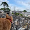緊張が続く
