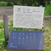 万葉歌碑を訪ねて（その１１８２）―奈良市春日野町　春日大社神苑萬葉植物園（１４２）―万葉集　巻十四　三四四四